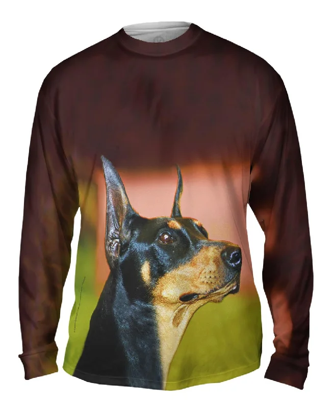 Fall Fashion Aspirational Doberman