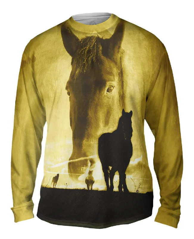 Sleek Designs Horse Dawn