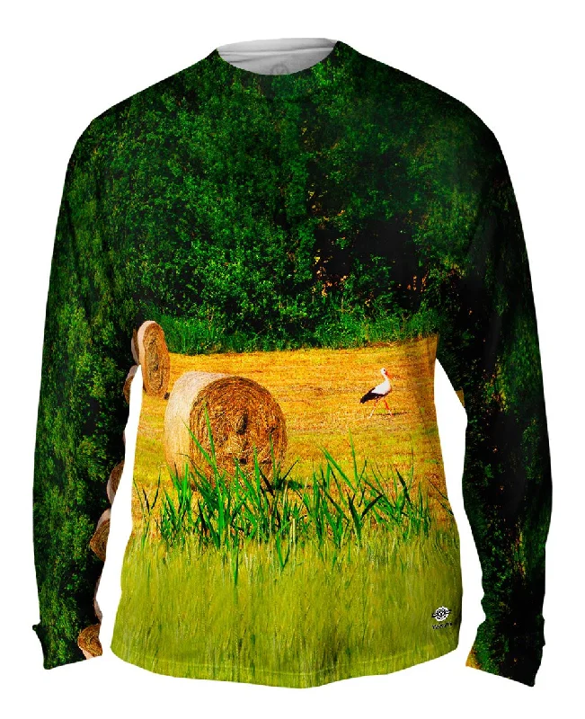 Chic Styles Fields Of Grass