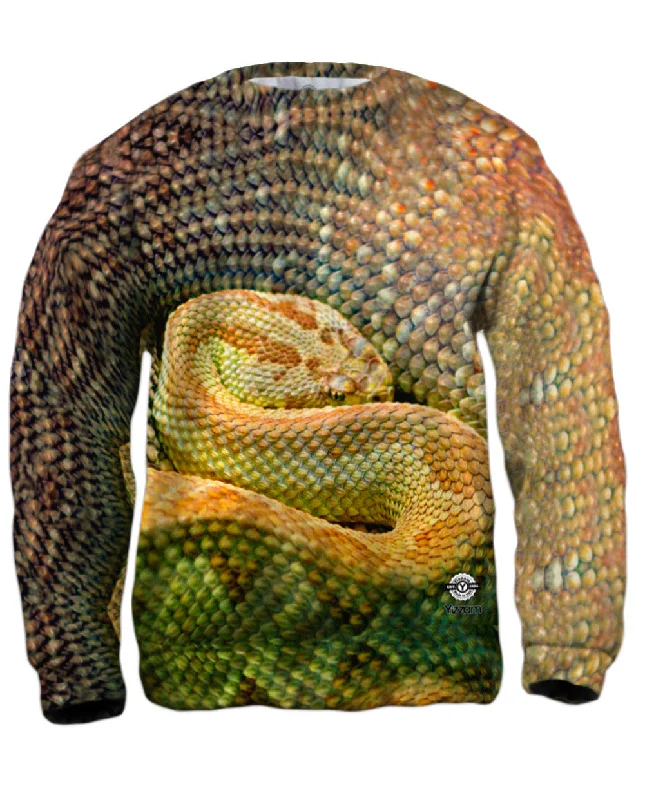Classic Fits Watchful Rattle Snake
