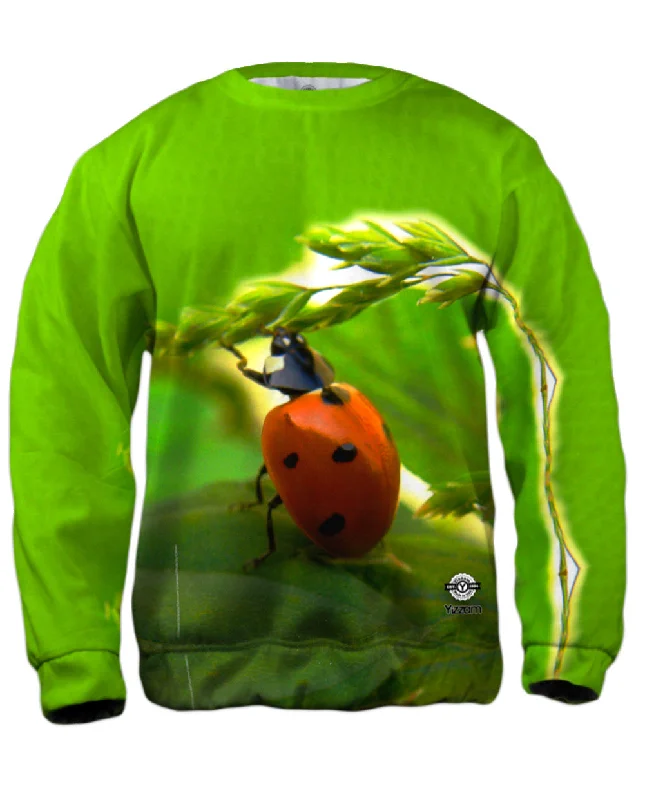Casual Shirts Pull Ups Ladybug