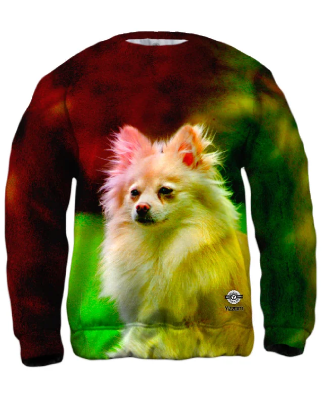 Comfortable Fits Pomeranian Puppy