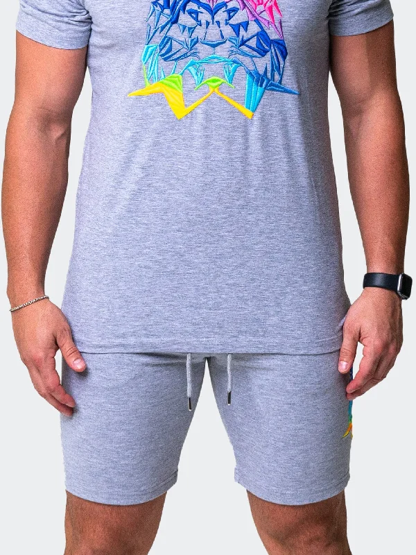All-Weather Outfits Shorts Neon Grey